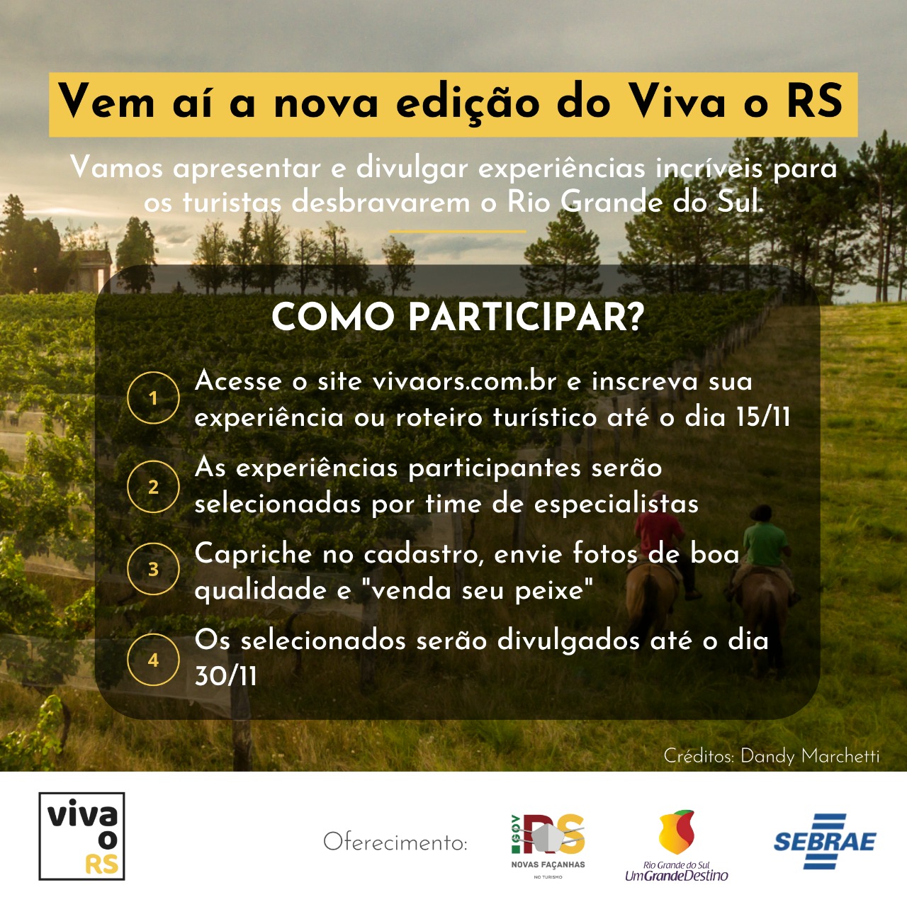 Capa do blog: Vem aí a nova edição do Viva o RS